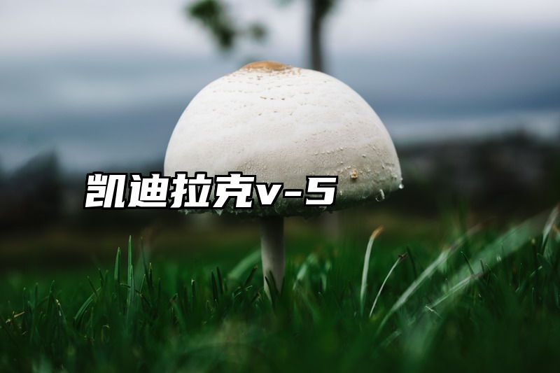 凯迪拉克v-5