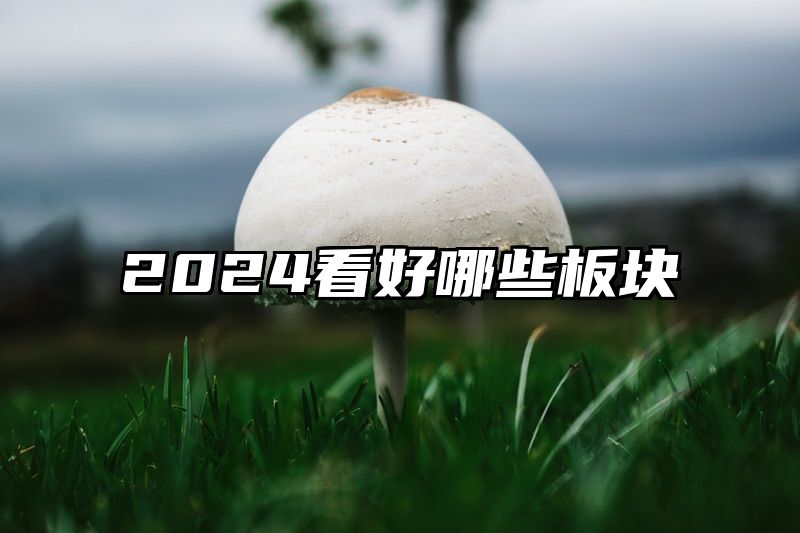 2024看好哪些板块