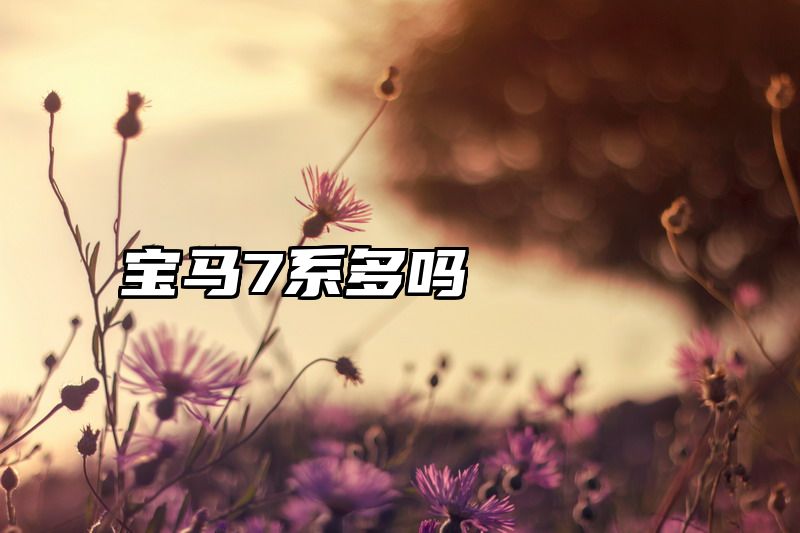 点击查看《宝马7系多吗》全文