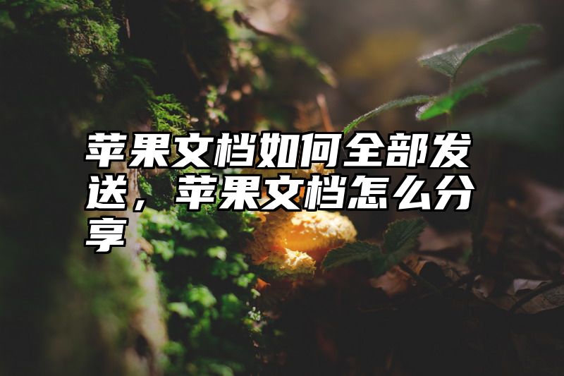 苹果文档如何全部发送，苹果文档怎么分享