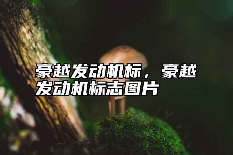 点击查看《豪越发动机标,豪越发动机标志图片》全文