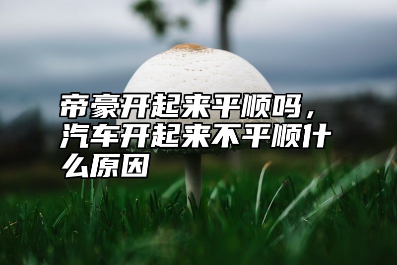 帝豪开起来平顺吗，汽车开起来不平顺什么原因