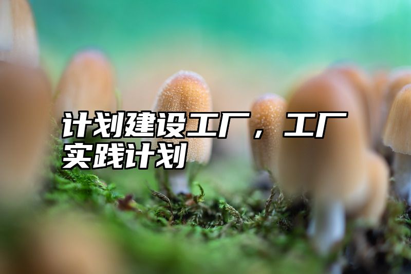 计划建设工厂，工厂实践计划