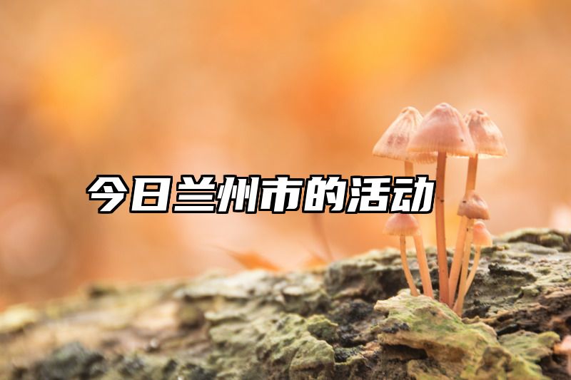 今日兰州市的活动
