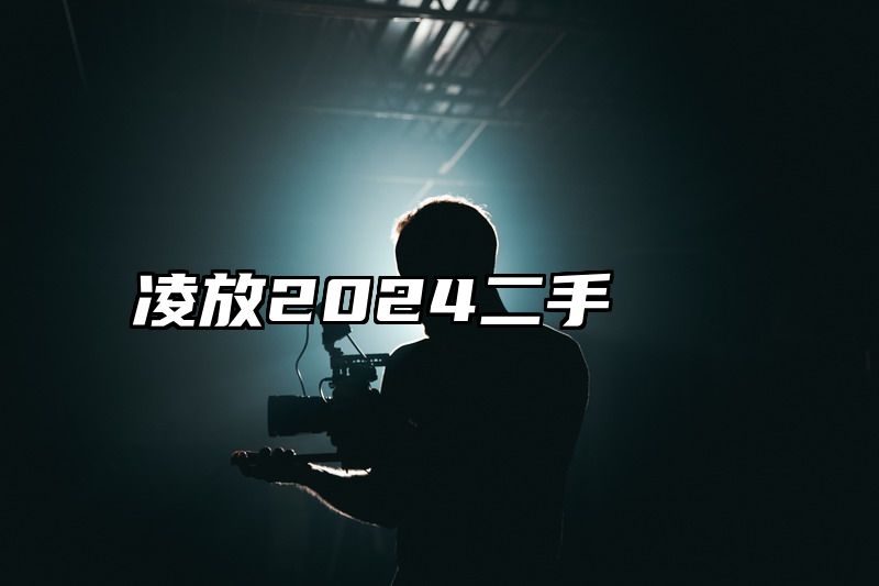 凌放2024二手