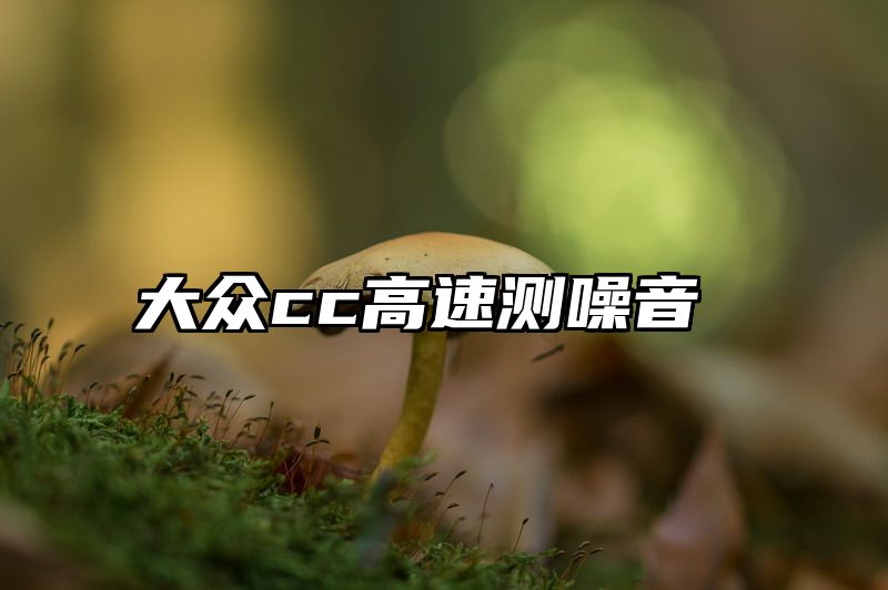 大众cc高速测噪音