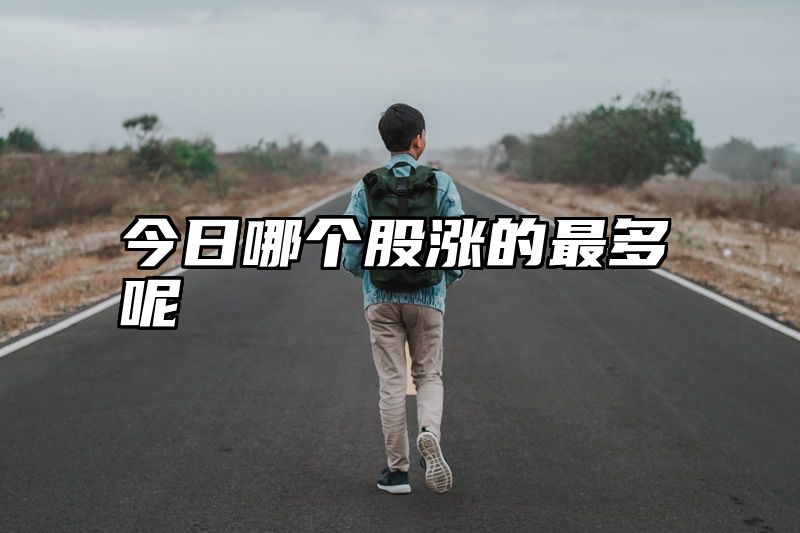 今日哪个股涨的最多呢