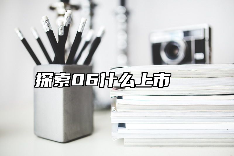 探索06什么上市