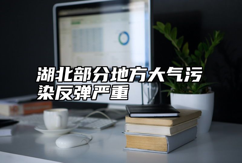 点击查看《湖北部分地方大气污染反弹严重》全文
