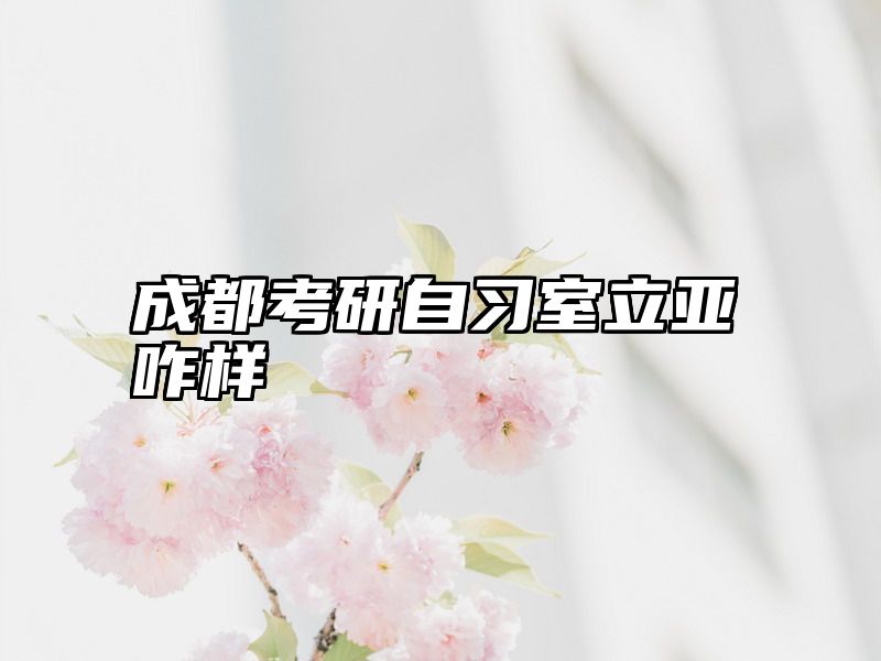 成都考研自习室立亚咋样