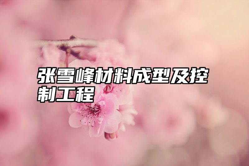 点击查看《张雪峰材料成型及控制工程》全文