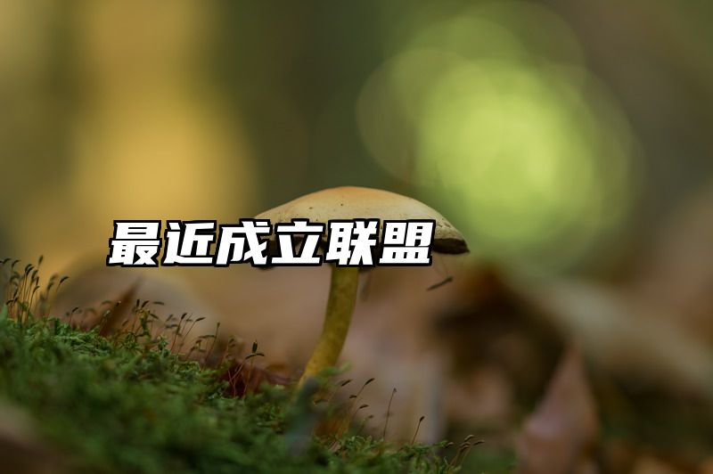 最近成立联盟