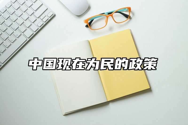 中国现在为民的政策