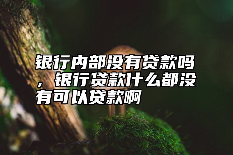 银行内部没有贷款吗，银行贷款什么都没有可以贷款啊