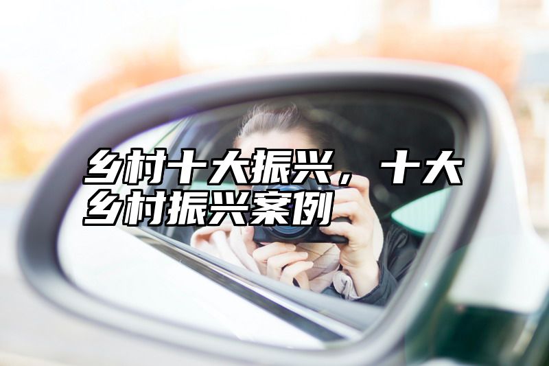 乡村十大振兴，十大乡村振兴案例