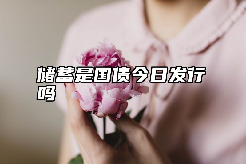 储蓄是国债今日发行吗