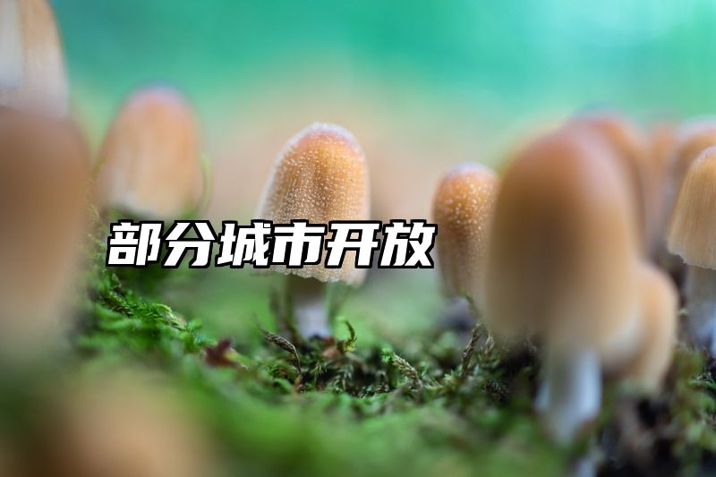 部分城市开放