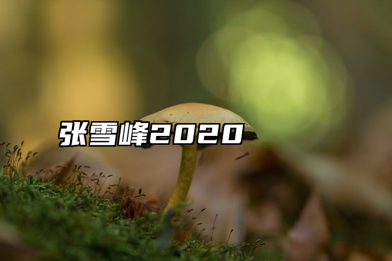 点击查看《张雪峰2020》全文