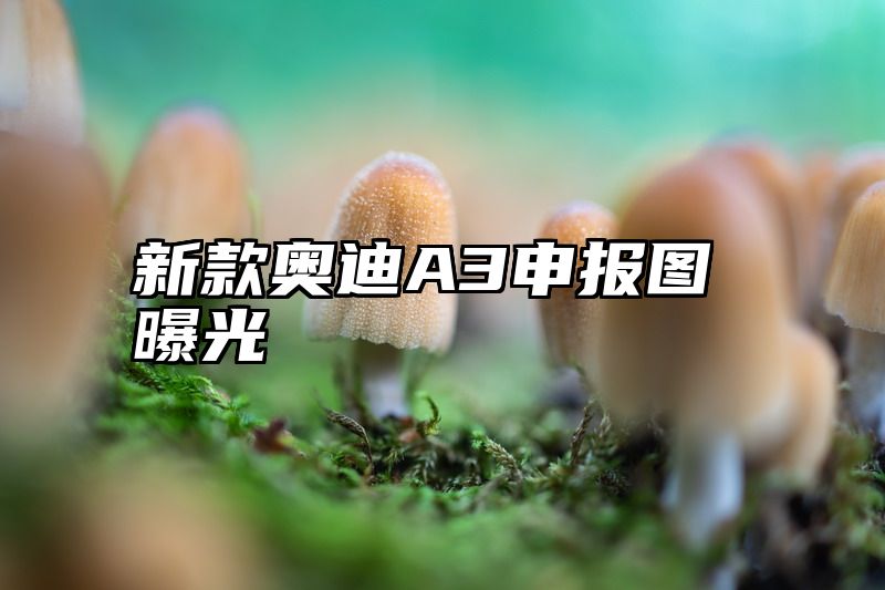 新款奥迪A3申报图曝光