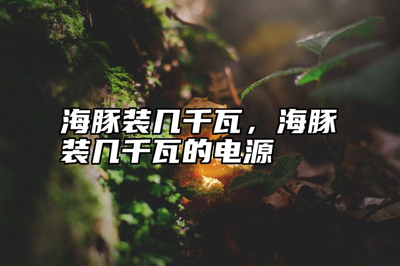 海豚装几千瓦，海豚装几千瓦的电源