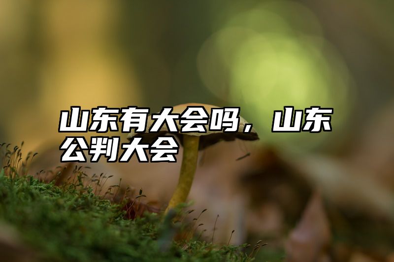 山东有大会吗，山东公判大会
