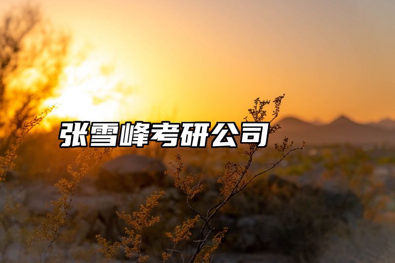 张雪峰考研公司