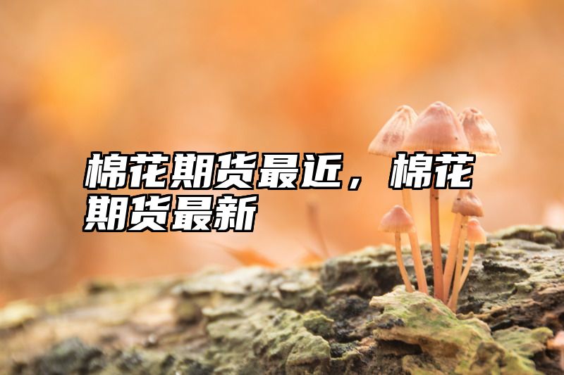 棉花期货最近，棉花期货最新