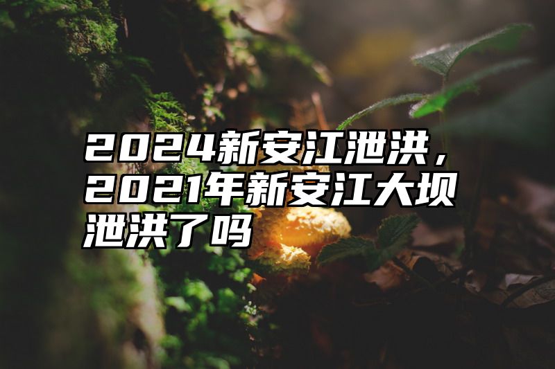 2024新安江泄洪，2021年新安江大坝泄洪了吗