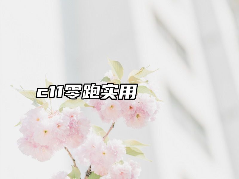 点击查看《c11零跑实用》全文