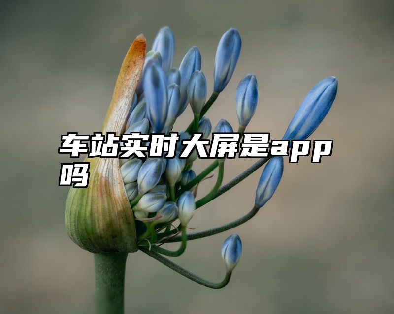 车站实时大屏是app吗