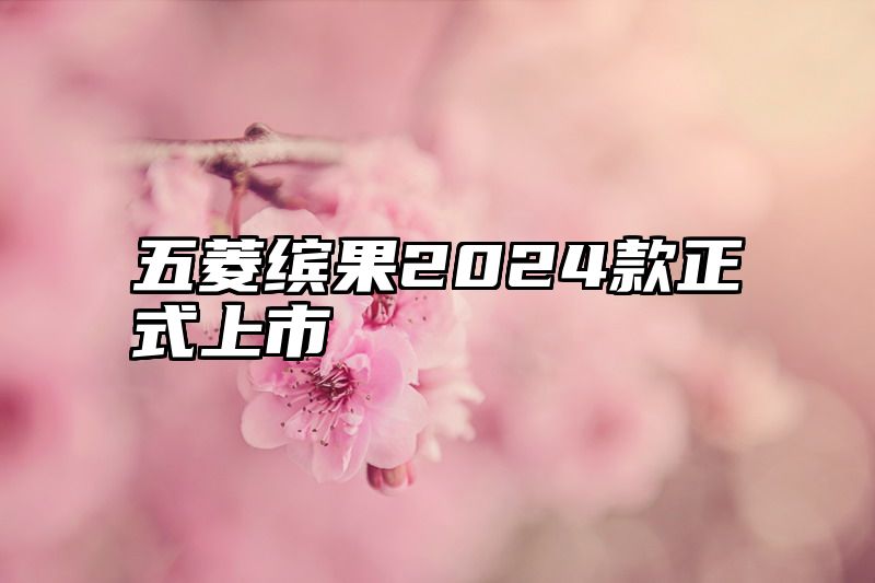 点击查看《五菱缤果2024款正式上市》全文