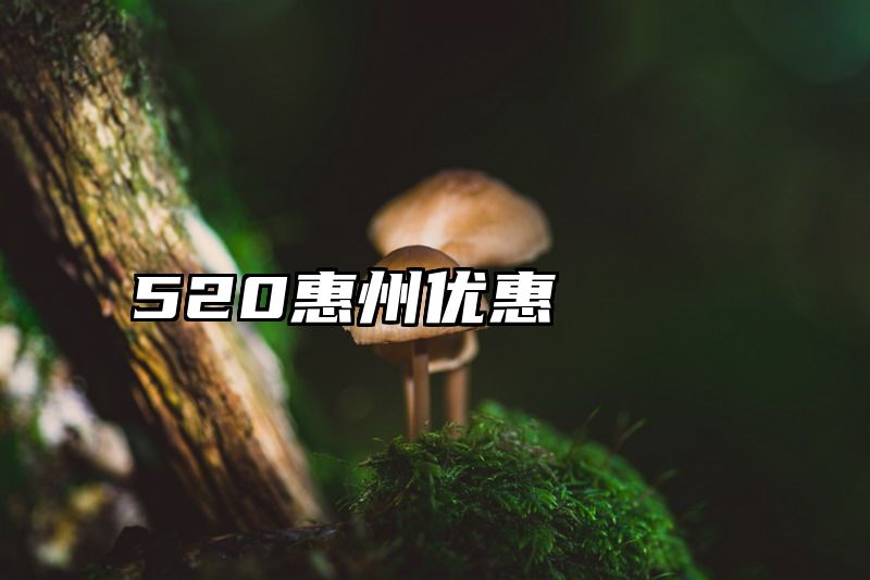 520惠州优惠