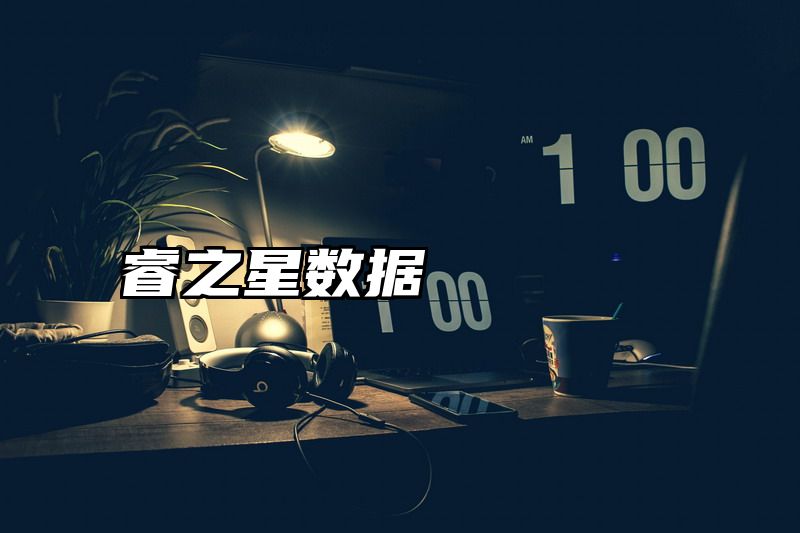 睿之星数据