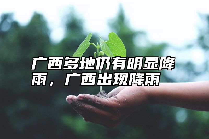 广西多地仍有明显降雨，广西出现降雨