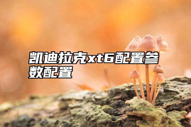 凯迪拉克xt6配置参数配置