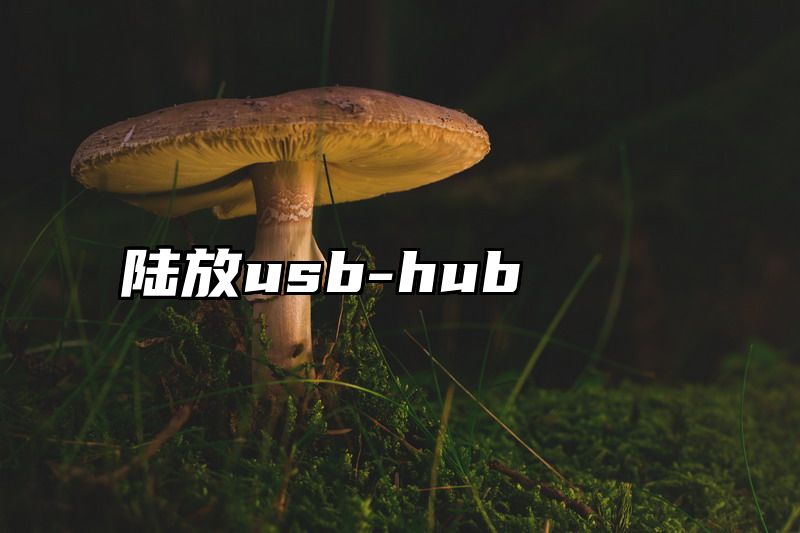 陆放usb-hub