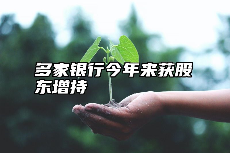 多家银行今年来获股东增持