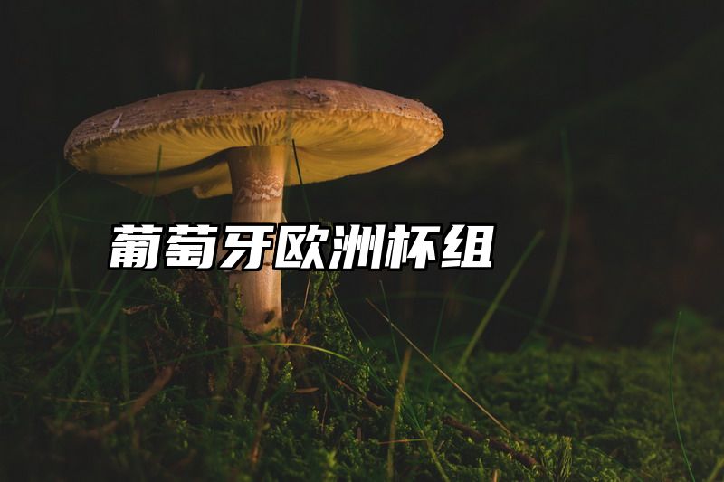 点击查看《葡萄牙欧洲杯组》全文