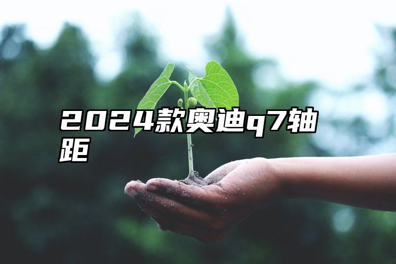 点击查看《2024款奥迪q7轴距》全文