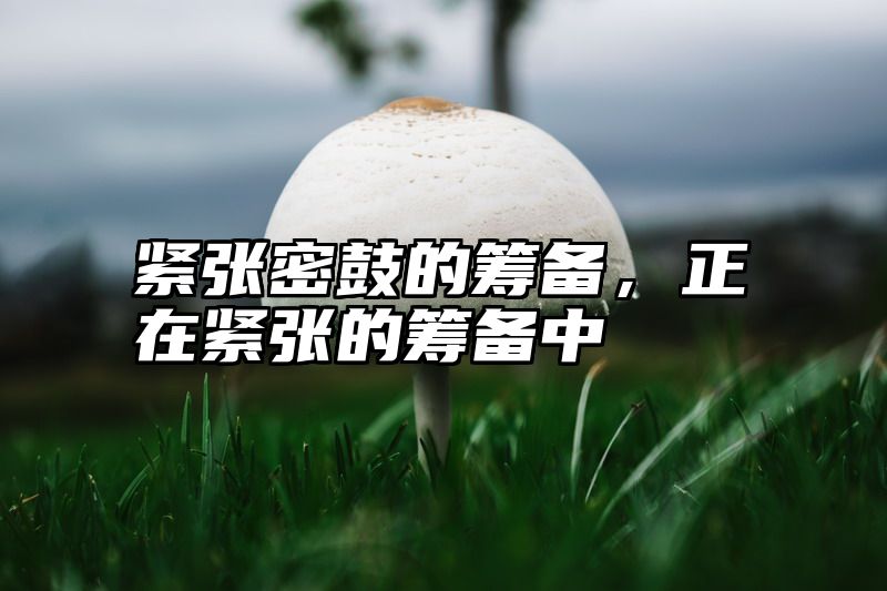 紧张密鼓的筹备，正在紧张的筹备中