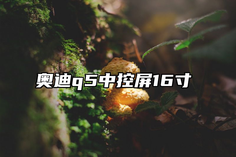 点击查看《奥迪q5中控屏16寸》全文
