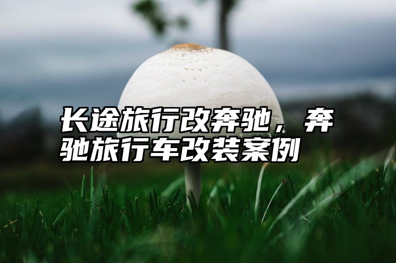 点击查看《长途旅行改奔驰,奔驰旅行车改装案例》全文