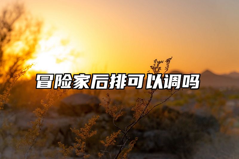 冒险家后排可以调吗
