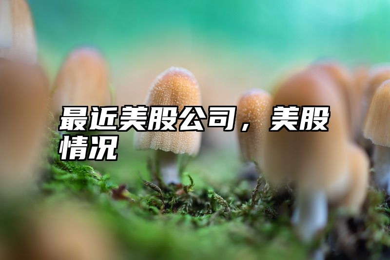 最近美股公司，美股情况