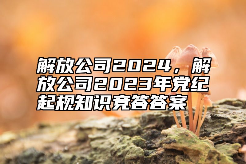 解放公司2024，解放公司2023年党纪起规知识竞答答案