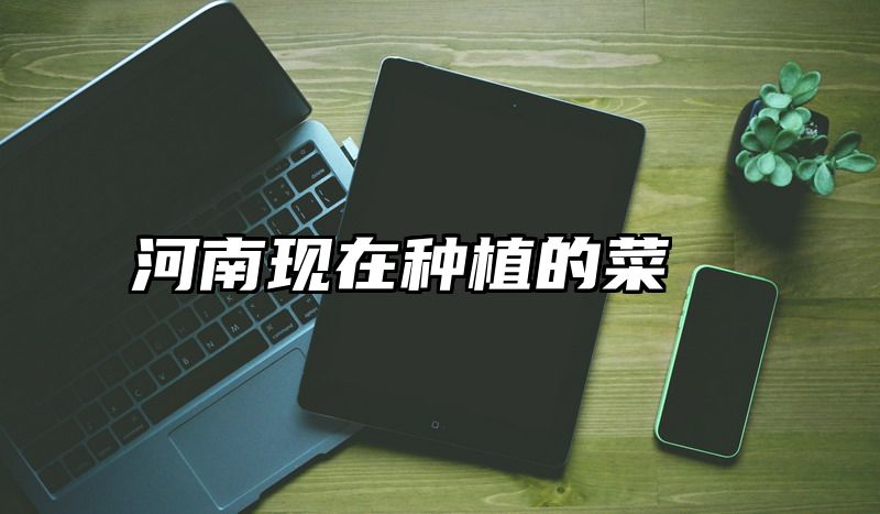 河南现在种植的菜