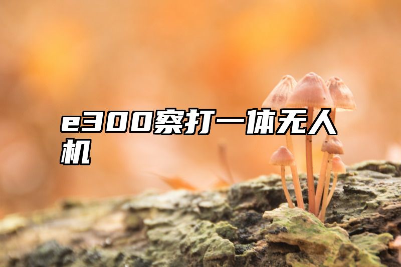 e300察打一体无人机