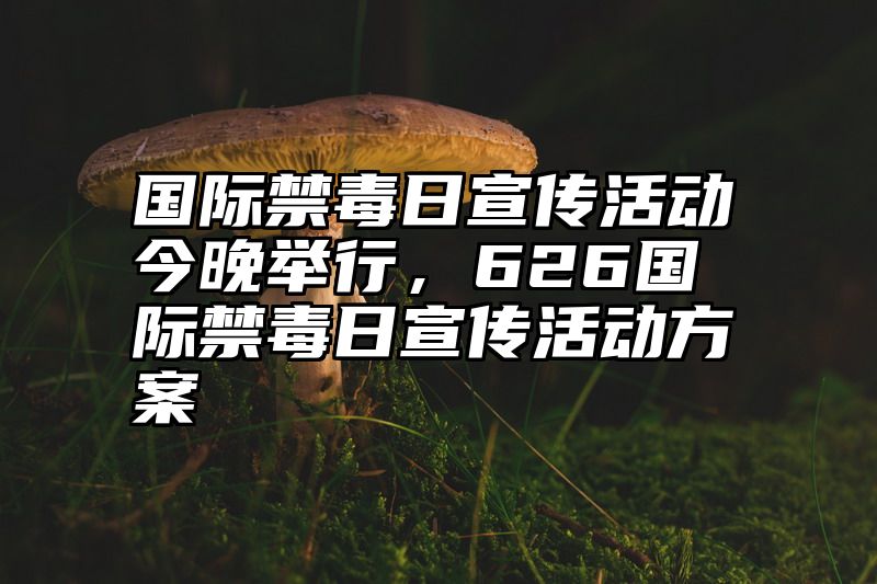 国际禁毒日宣传活动今晚举行，626国际禁毒日宣传活动方案