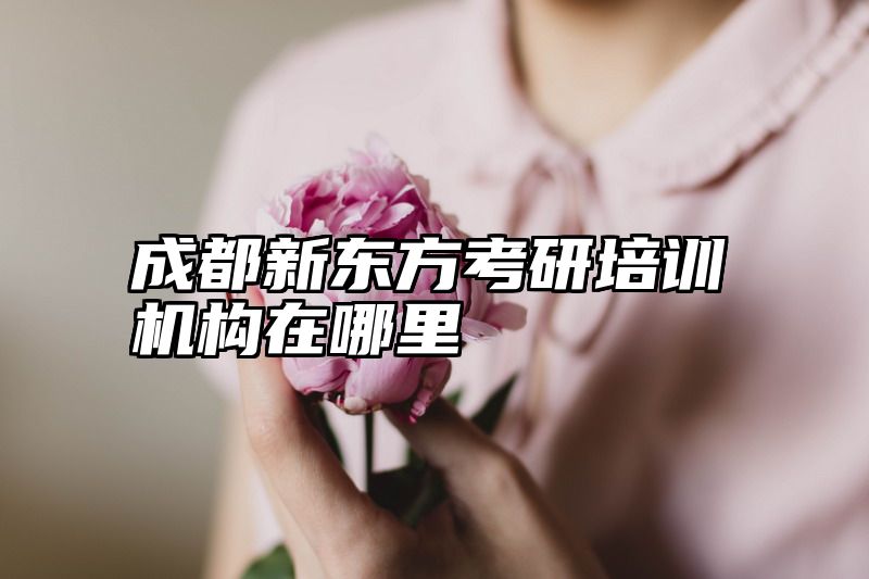 点击查看《成都新东方考研培训机构在哪里》全文