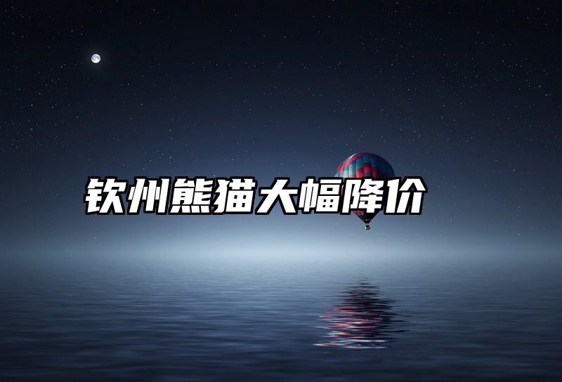 钦州熊猫大幅降价